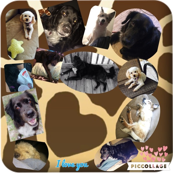 Meet your Posher, Courteney - Picture 2 of 5